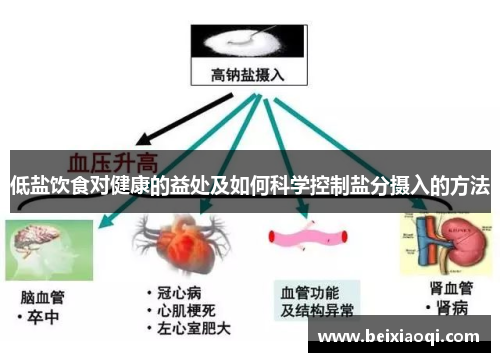 低盐饮食对健康的益处及如何科学控制盐分摄入的方法